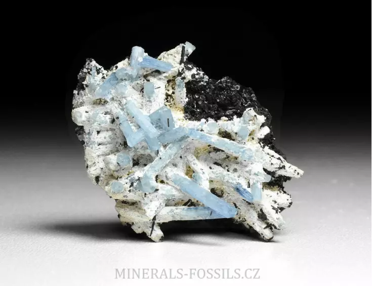 Akvamarín, Živec, Skoryl