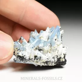 Akvamarín, Živec, Skoryl