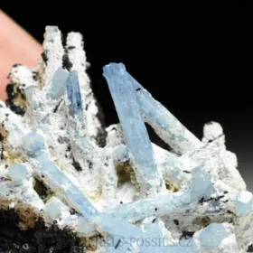 Akvamarín, Živec, Skoryl