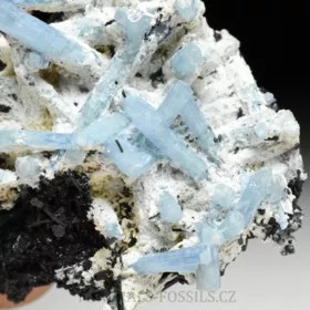 Akvamarín, Živec, Skoryl