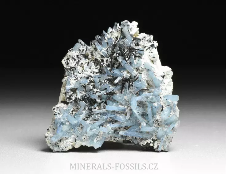 Akvamarín, Živec, Skoryl