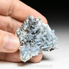 Akvamarín, Živec, Skoryl