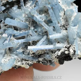 Akvamarín, Živec, Skoryl