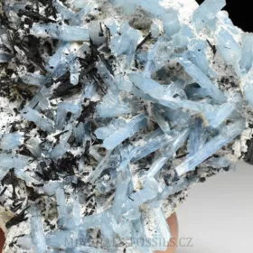 Akvamarín, Živec, Skoryl