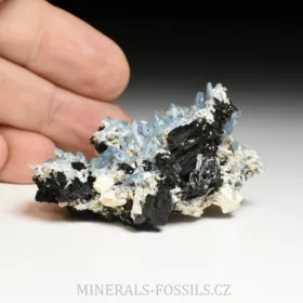 Akvamarín, Živec, Skoryl