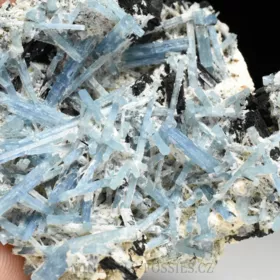 Akvamarín, Živec, Skoryl