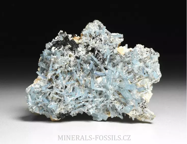 Akvamarín, Živec, Skoryl