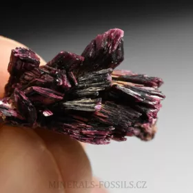 Erytrin