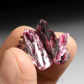 Erytrin