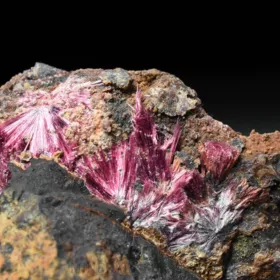 Erytrin