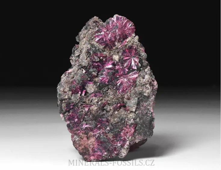 Erytrin