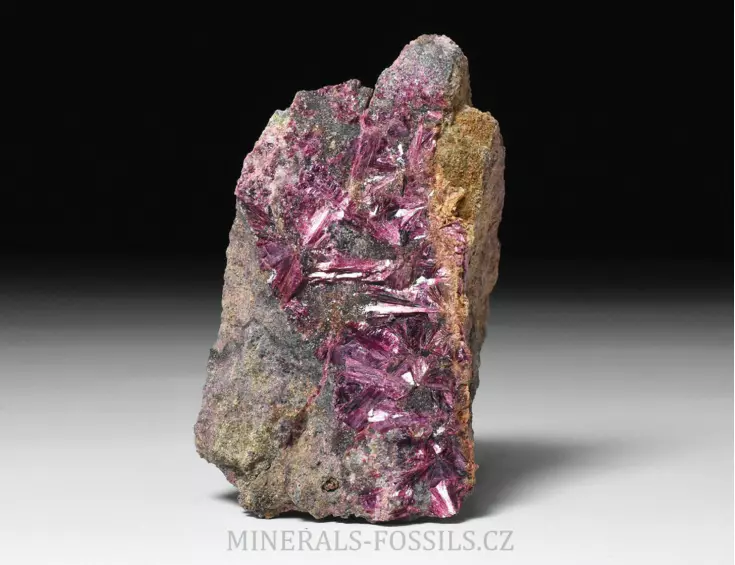 Erytrin