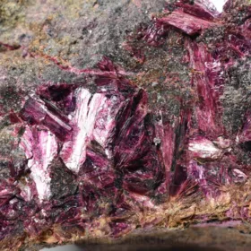 Erytrin