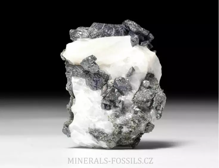 Allargentum
