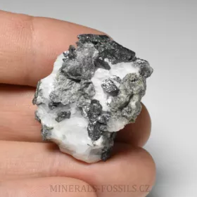 Allargentum