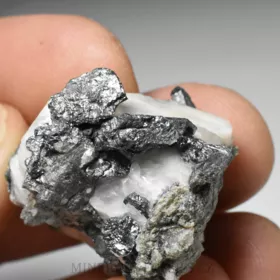Allargentum