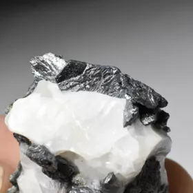 Allargentum