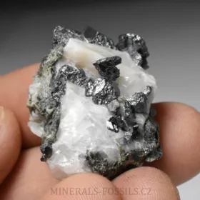 Allargentum