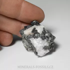 Allargentum