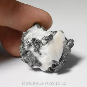 Allargentum