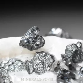 Allargentum