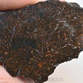 chondritický meteorit - řez