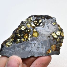 meteorit palasit - Seymchan