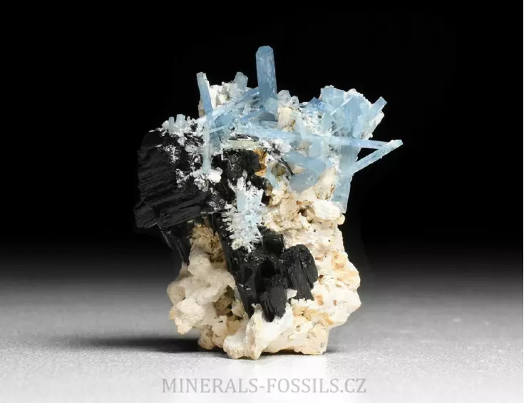 Akvamarín, Živec, Skoryl