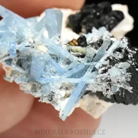 Akvamarín, Živec, Skoryl