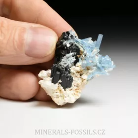 Akvamarín, Živec, Skoryl