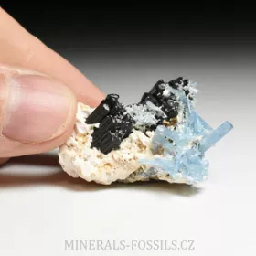 Akvamarín, Živec, Skoryl